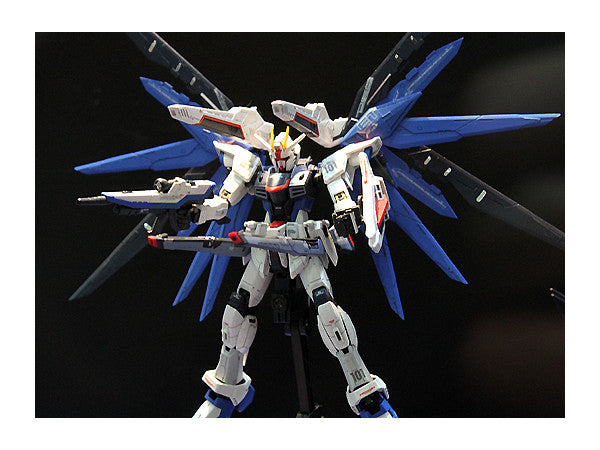 RG 1/144 Freedom Gundam