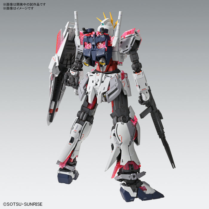 MG 1/100 Narrative Gundam C-Pack Ver.Ka