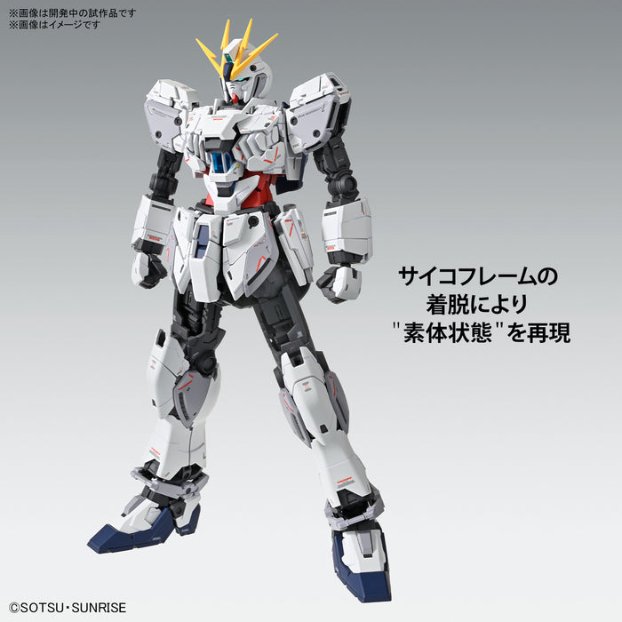 MG 1/100 Narrative Gundam C-Pack Ver.Ka