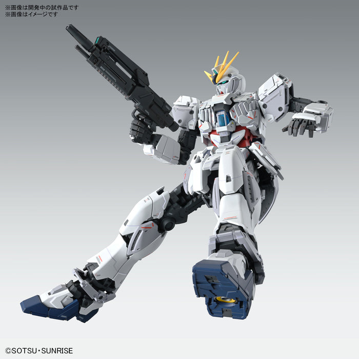 MG 1/100 Narrative Gundam C-Pack Ver.Ka