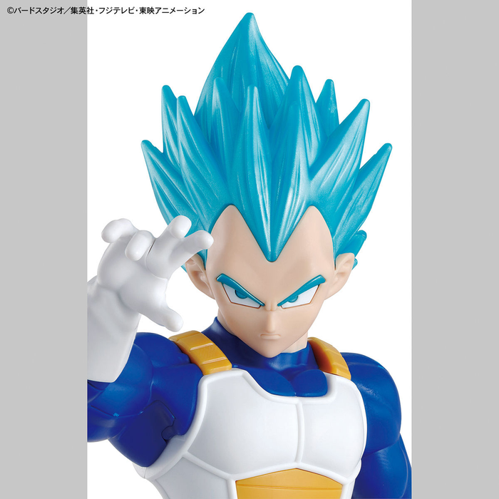 Entry Grade Super Saiyan God Vegeta